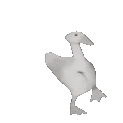 un canard qui danse